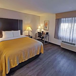 Two-Bedroom Queen Suite